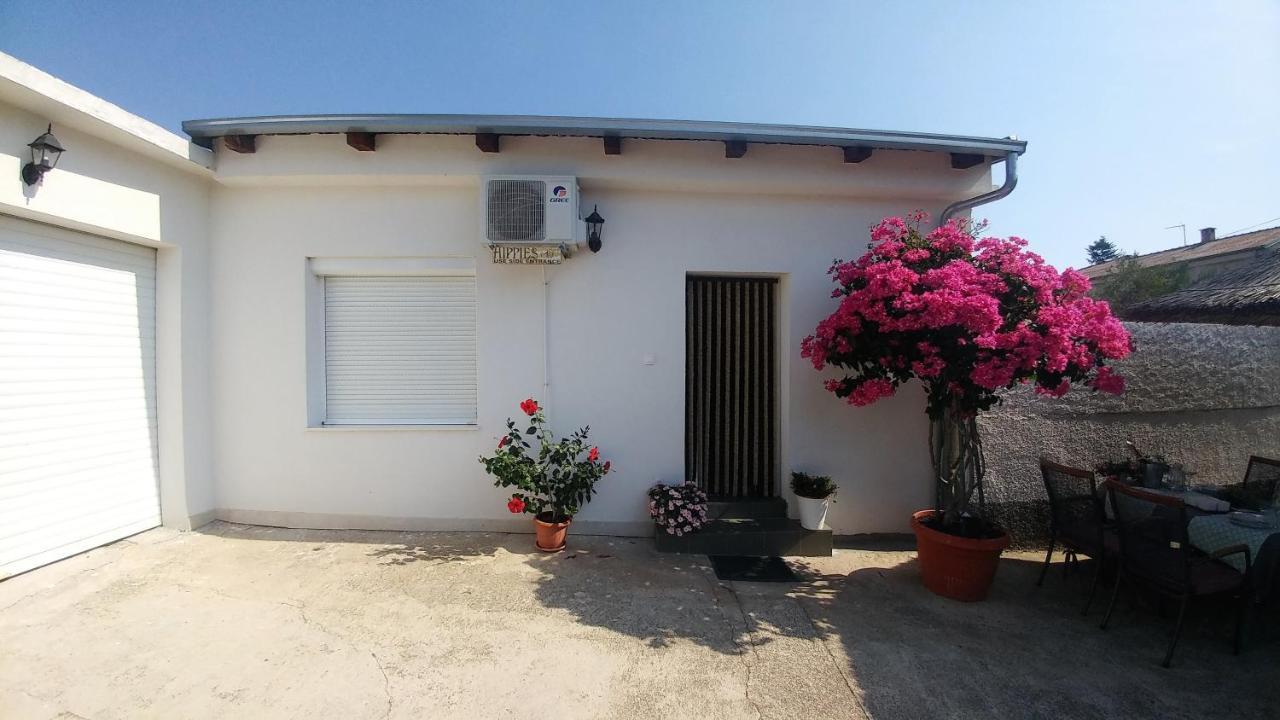 Apartments Pipi Pakoštane Exteriér fotografie